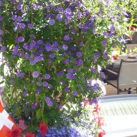 Esthers Gæstehus 3*